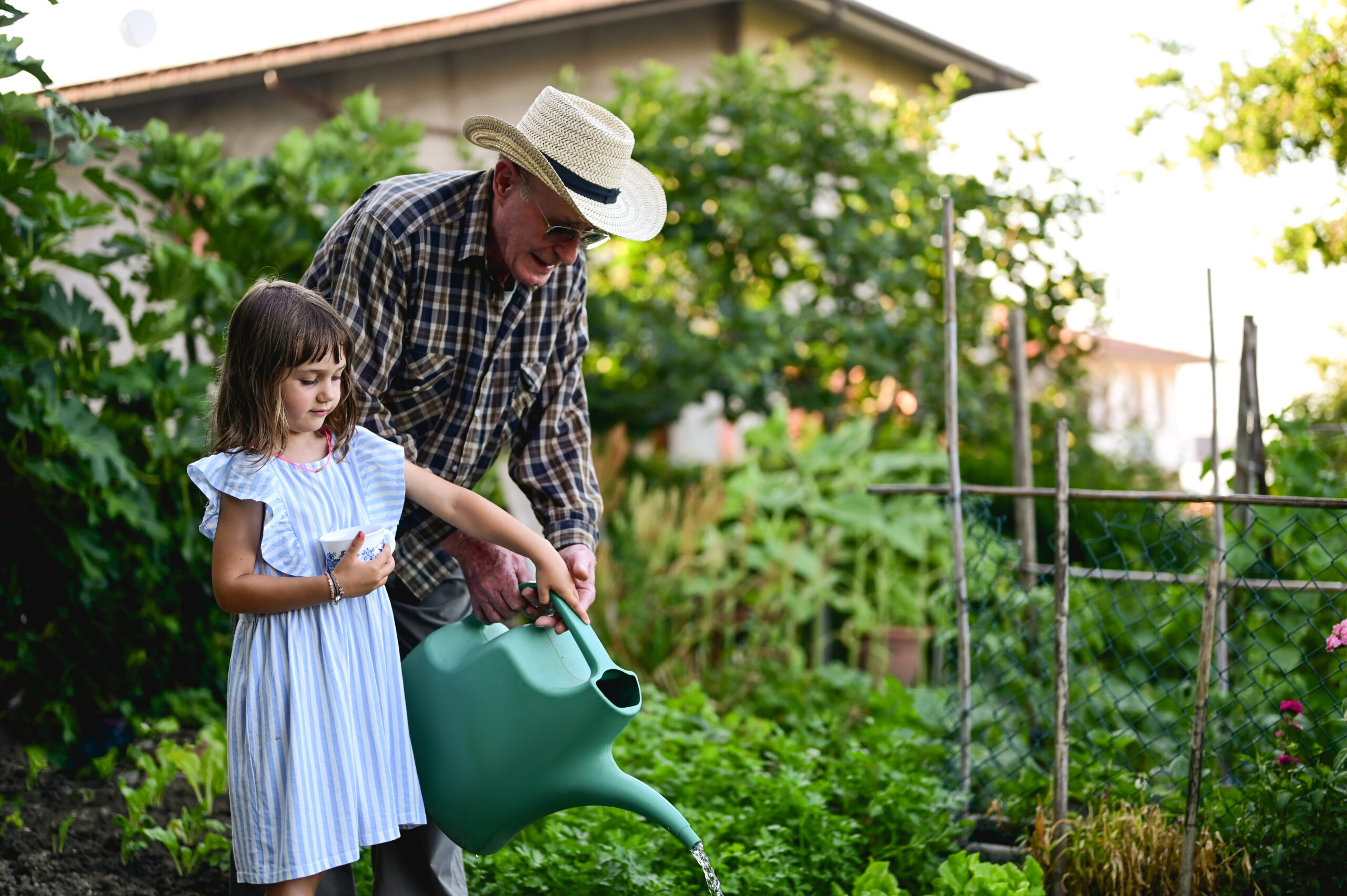 family watering plants with watering can in the garden.